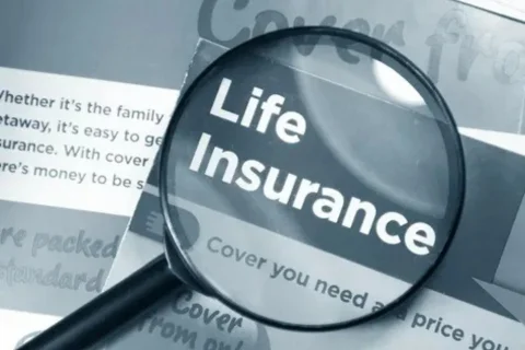 How do I pick a life insurance company