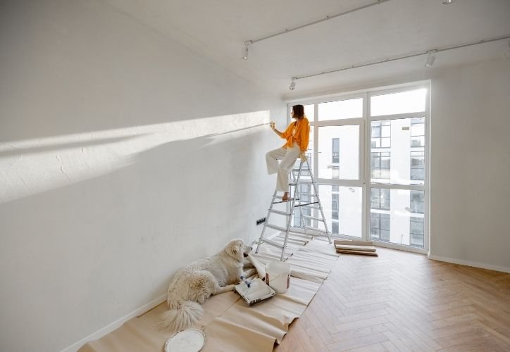 Apartment Wall Painting Services Dubai