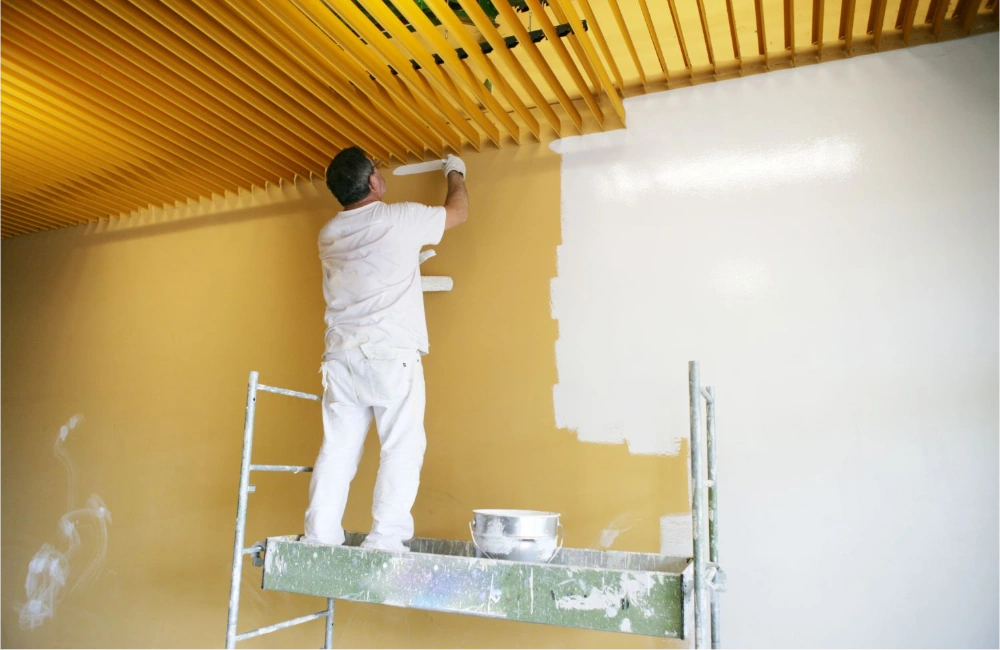 Long Lifespan Commercial Paint UAE