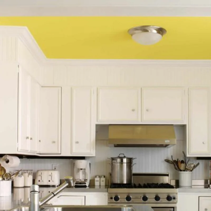 Kitchen Ceiling Painting services